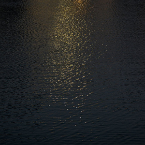 五月综合激情婷婷六月色窝
