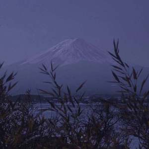 五月综合激情婷婷六月色窝
